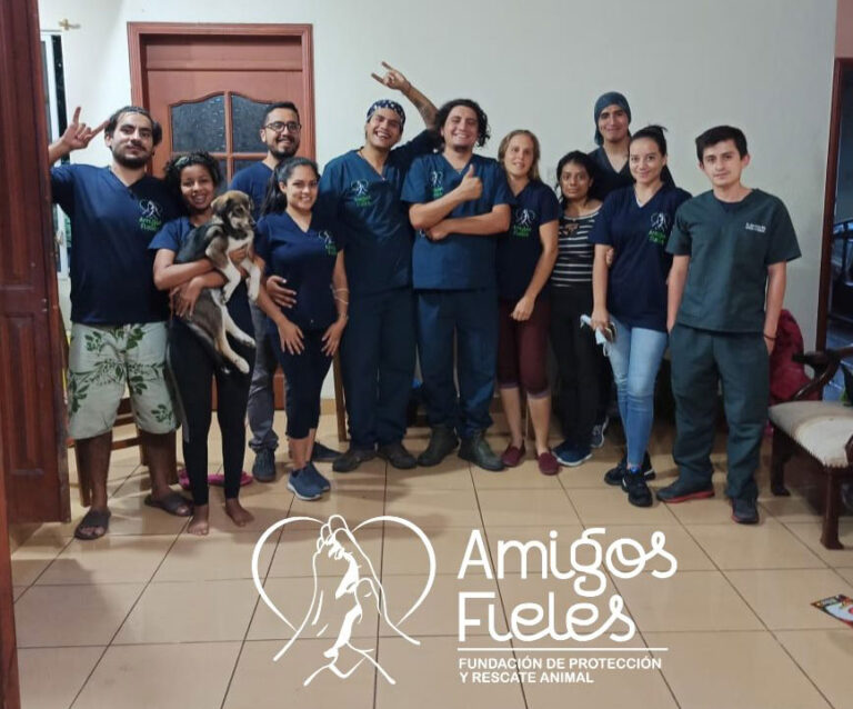 Voluntarios trabajando