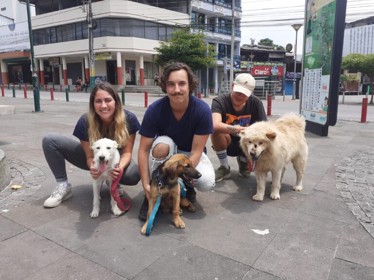 Actividades voluntarias